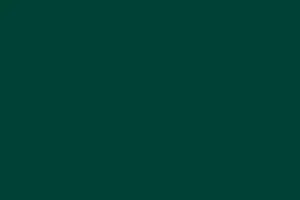 Finiture infissi in PVC Verde Muschio Codice 4925 Tecnoplast Infissi