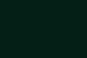 Finiture infissi in PVC Verde Scuro Codice 9773 Tecnoplast Infissi